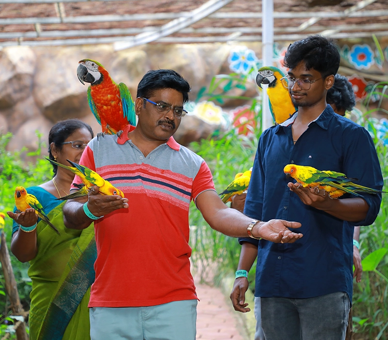 Family at adventure park