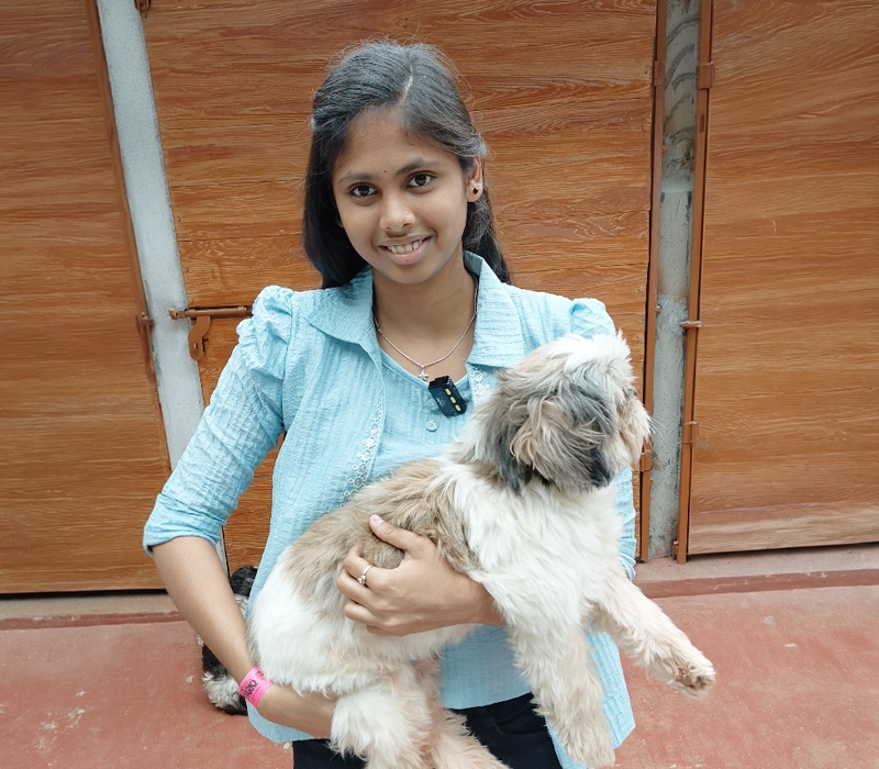House of Dogs in Yercaud Skypark