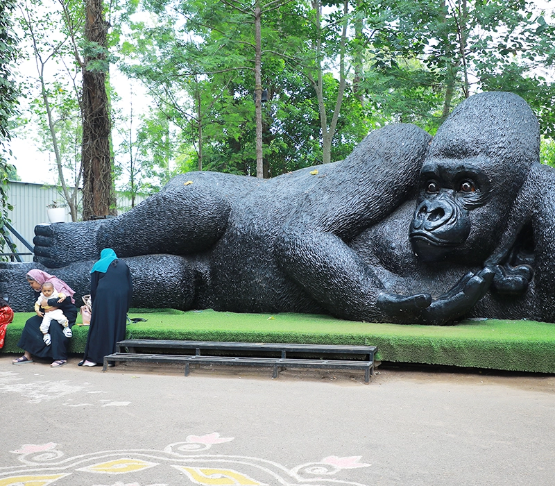 King Myani in Yercaud skypark