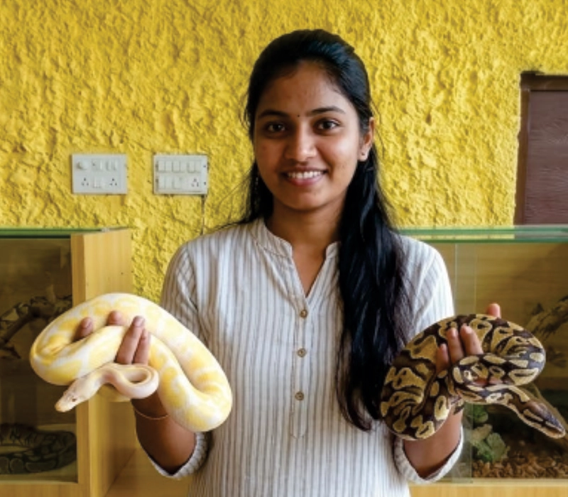 Pythons in Yercaud skypark