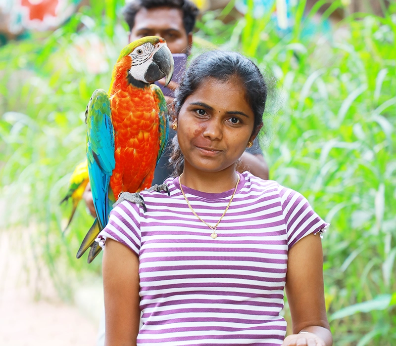 Skypark Exotic Birds in Yercaud