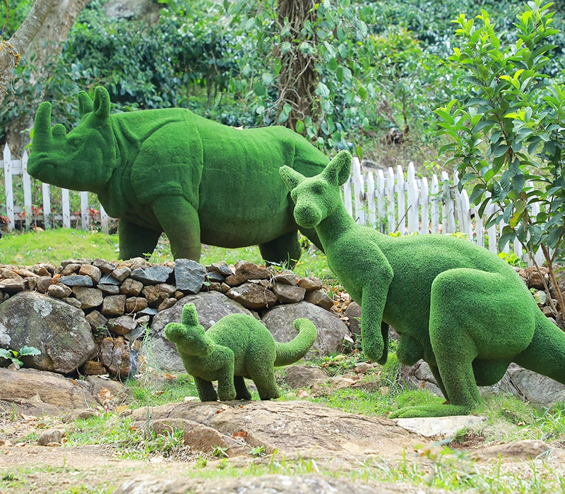 Topiary Garden in Yercaud skypark