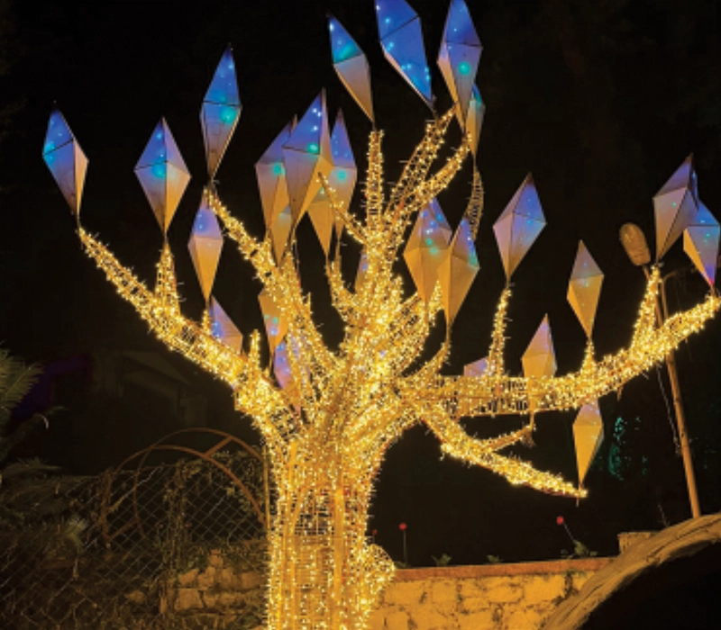 Magical night forest lights