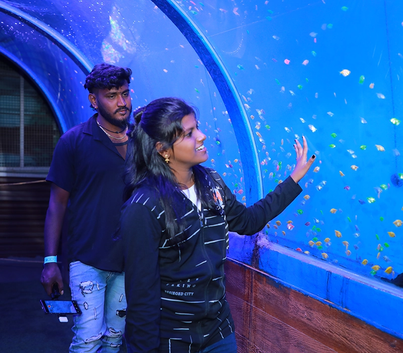 Tunnel Aquarium in Yercaud Skypark