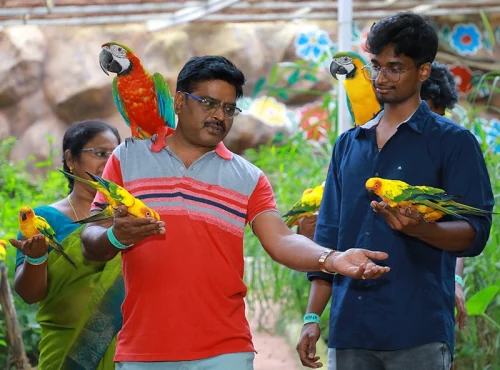Exotic Birds Skypark