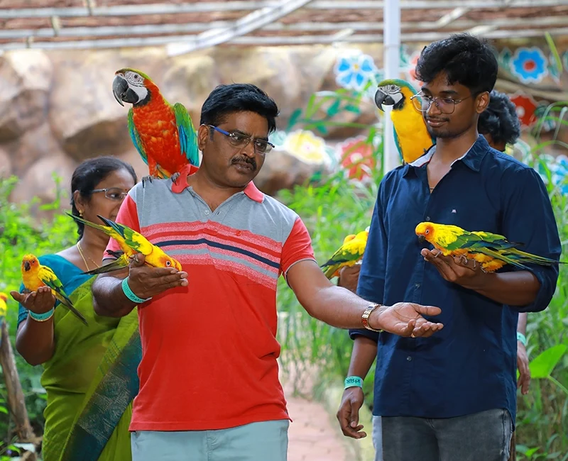 Exotic Birds Skypark