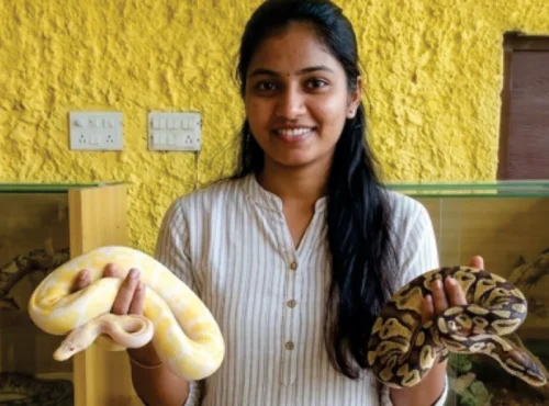 Pythons