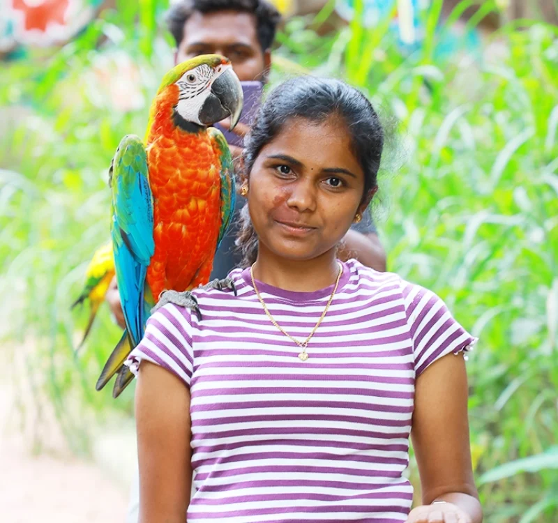 Skypark Exotic Birds