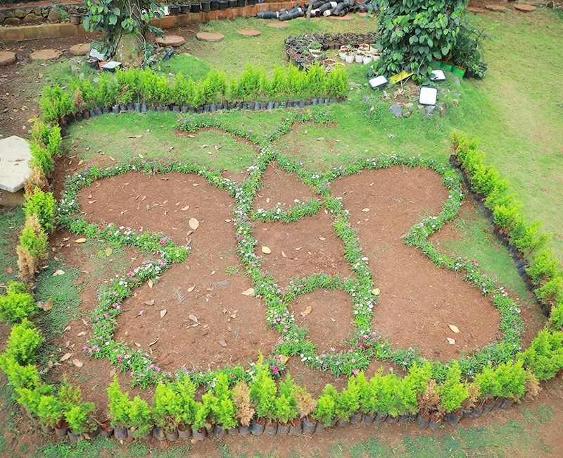 Tree of Life Landscape Garden