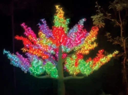Tree of life
