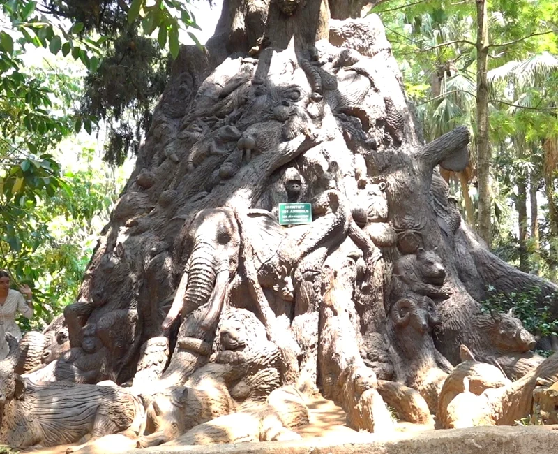 Tree of life