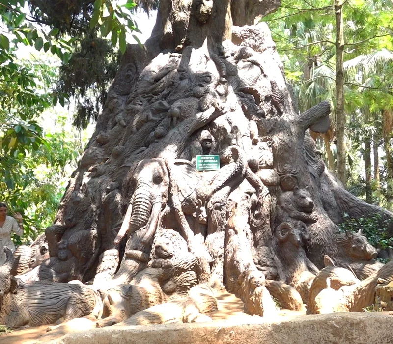 Tree of life in Yercaud skypark
