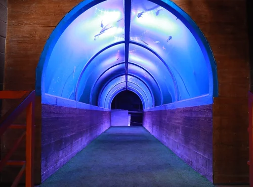 Tunnel Aquarium