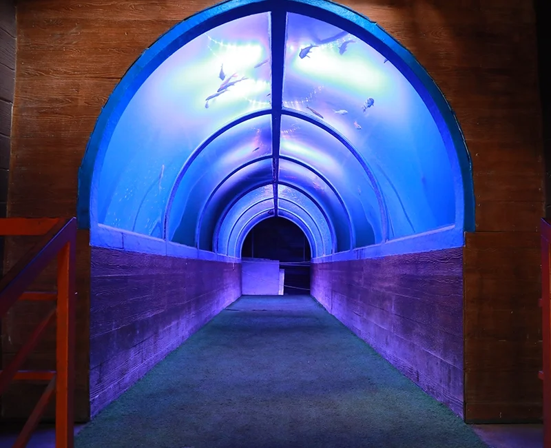 Tunnel Aquarium