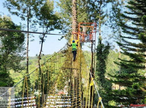 net bridge life line rope