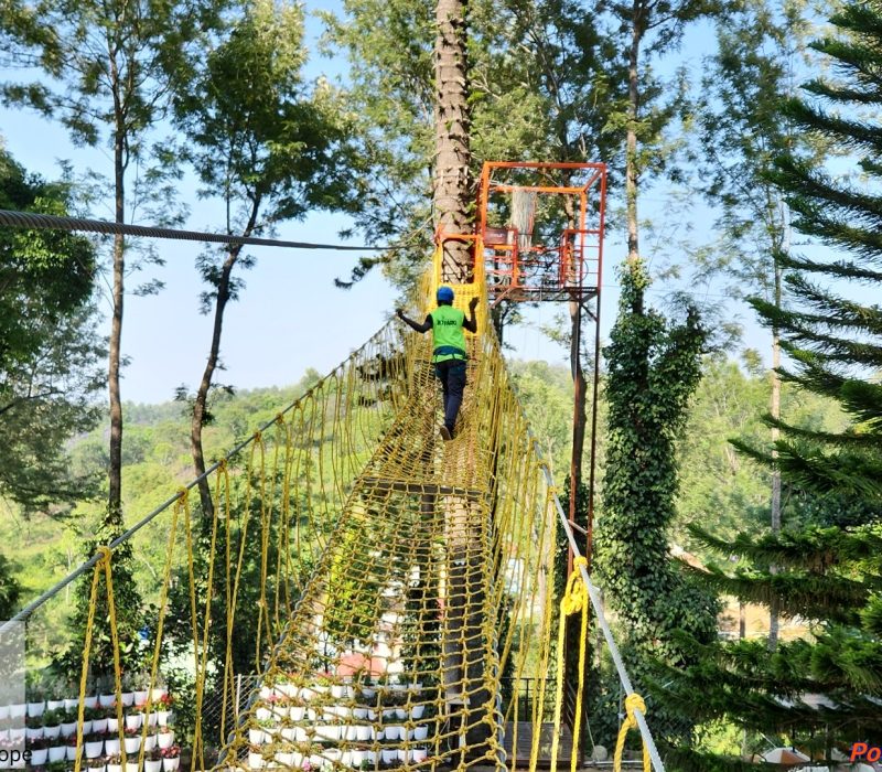 net bridge life line rope